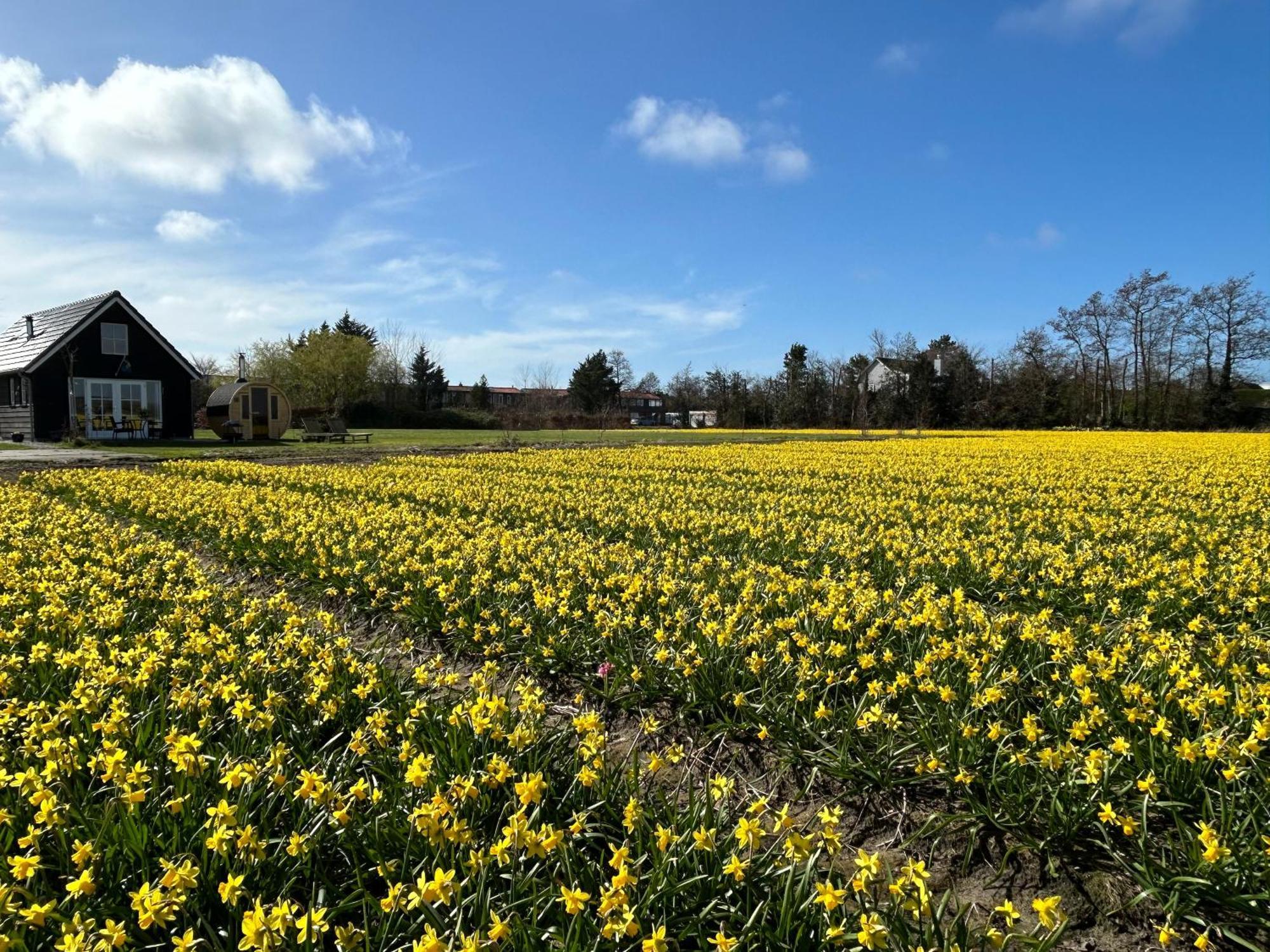 Stuga Kodawari Voorhout Luaran gambar